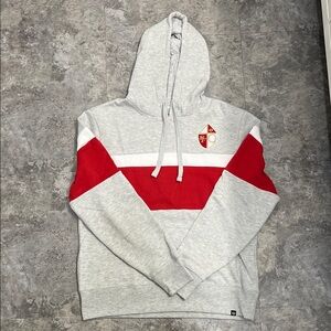 Men’s San Francisco 49ers ‘47 Brand Hooded Sweatshirt (Size Mens L)
